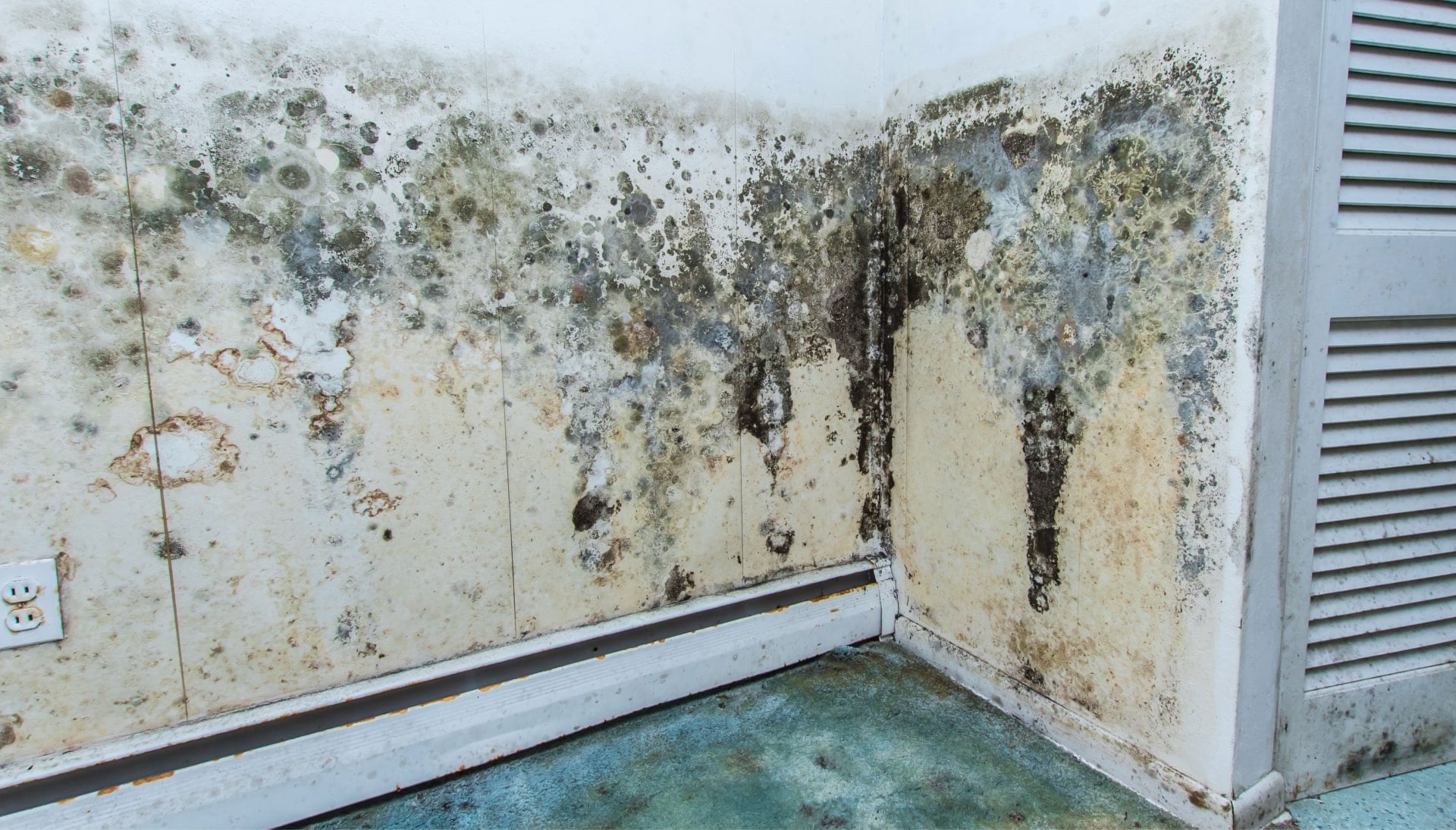 Mold Damage Odor Control Services in Kenosha