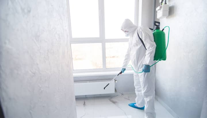 Mold Inspection Services in Kenosha